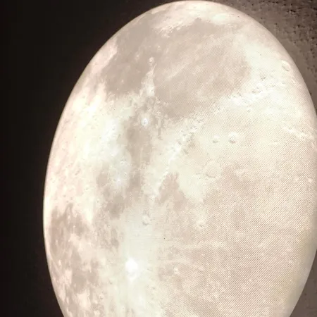 Un Aller-retour Sur La Lune *